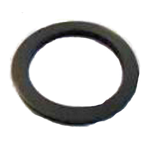 THERMOSTAT SEAL